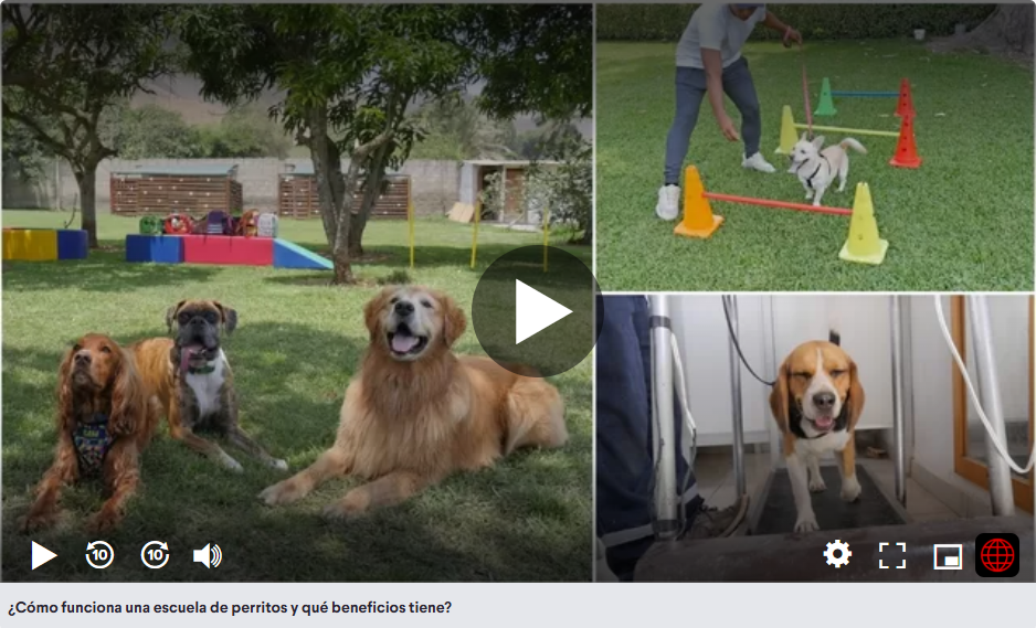 Aranta Kinder Canino